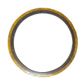 Customized Industrial Seal Ss304 Graphite Spiral Wound Gasket Stainless Steel Specification Filler Spiral Wound Gasket